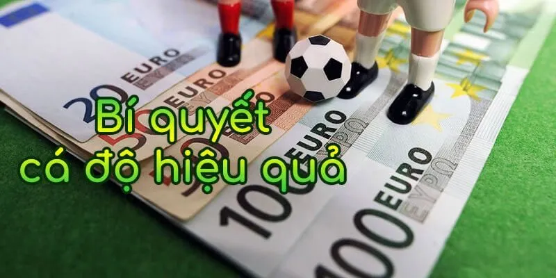 Bí quyết chơi cược bóng đá