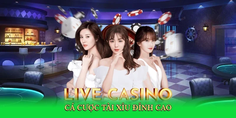 Cá cược tài xỉu đỉnh cao
