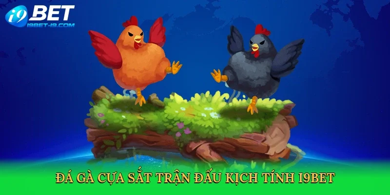 Đá gà cựa sắt trận đấu kịch tính i9bet