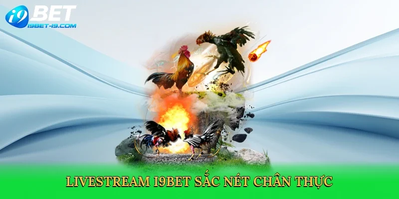 Livestream i9bet sắc nét chân thực