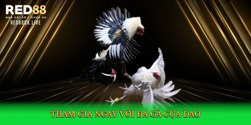Tham gia ngay với Đá gà cựa dao