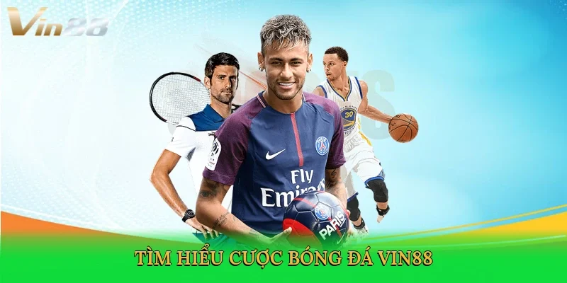 tim-hieu-cuoc-bong-da-vin88-2