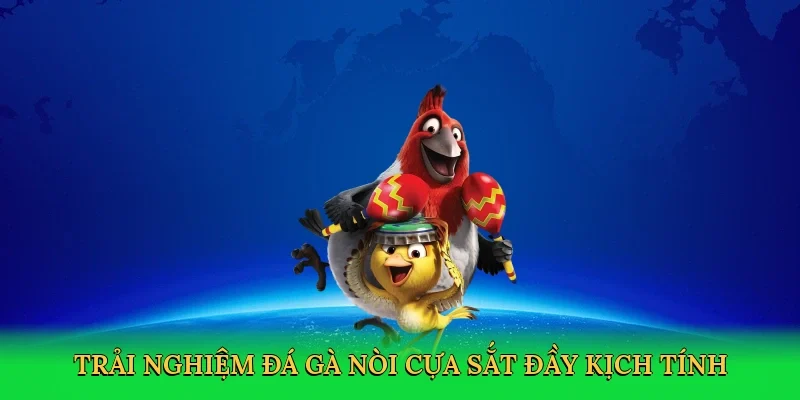 Trải nghiệm đá gà nòi cựa sắt đầy kịch tính