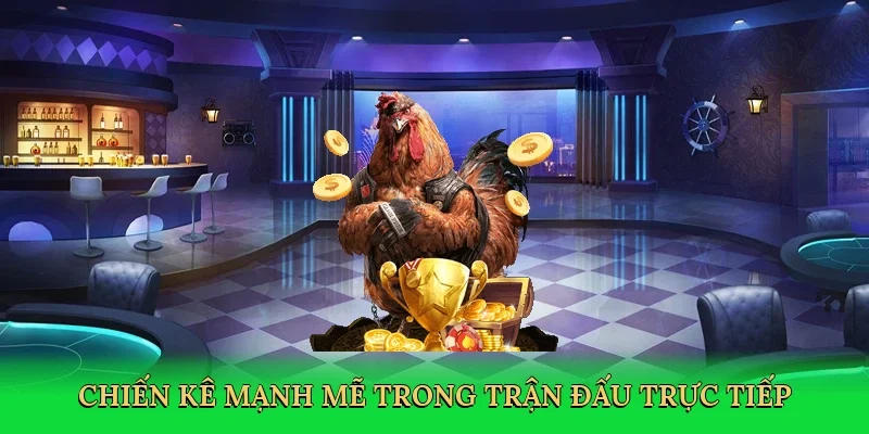 Chiến kê mạnh mẽ trong trận đấu trực tiếp