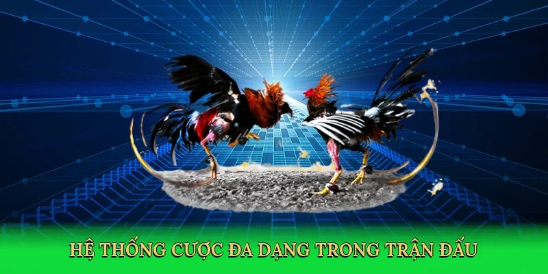 Hệ thống cược đa dạng trong trận đấu